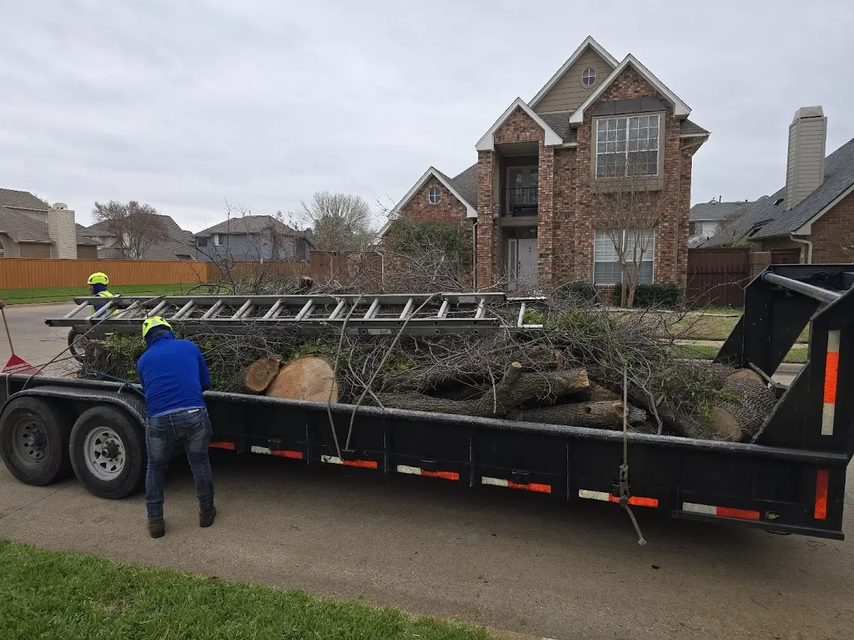 Expert Tree Fertilization with proper safety equipment in Engelhard